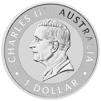 Australian Kangaroo 1oz .9999 Silver Bullion Coin - 2024 The Perth Mint