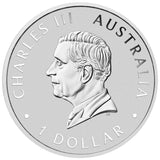 Australian Kookaburra 1oz .9999 Silver Bullion Coin - 2024 The Perth Mint