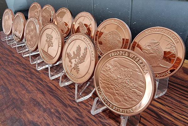 12 piece Copper coin set - 1oz pure copper