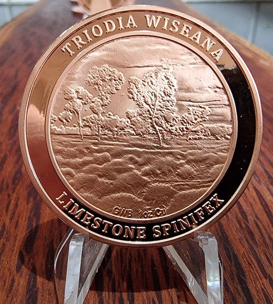 1 Ounce Copper Round - Australian Limestone Spinifex Coin - Triodia Wiseana