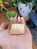 Nordic Gold Ingots - Nordic Gold Bullion Bars Assorted Weights - Gold Bar Shape - Great White Bullion