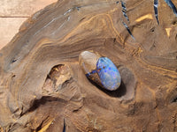 Queensland Boulder Opal - 12.0ct Yowie Nut Opal - Gorgeous Blue - Great White Bullion