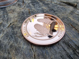 1 Ounce Copper Round - Australian Banksia Flower Coin - Acorn Banksia - Great White Bullion